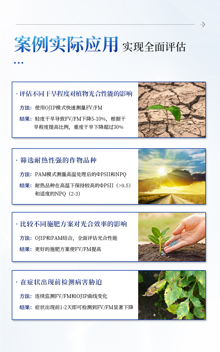 叶绿素荧光成像仪