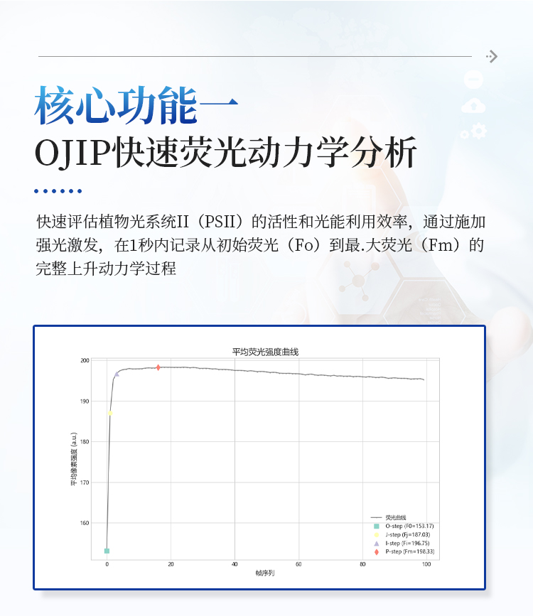 叶绿素荧光成像系统