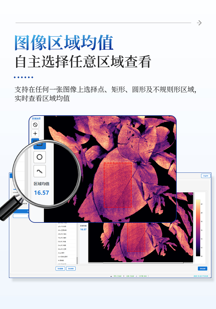 叶绿素荧光成像仪