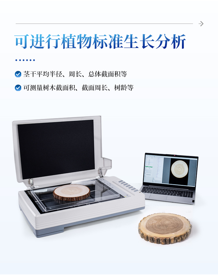树木年轮分析系统