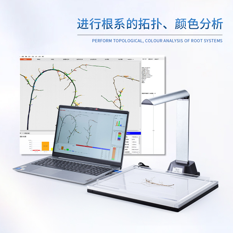 植物根系分析仪