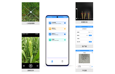 小麦亩穗数测量仪IN-XM01
