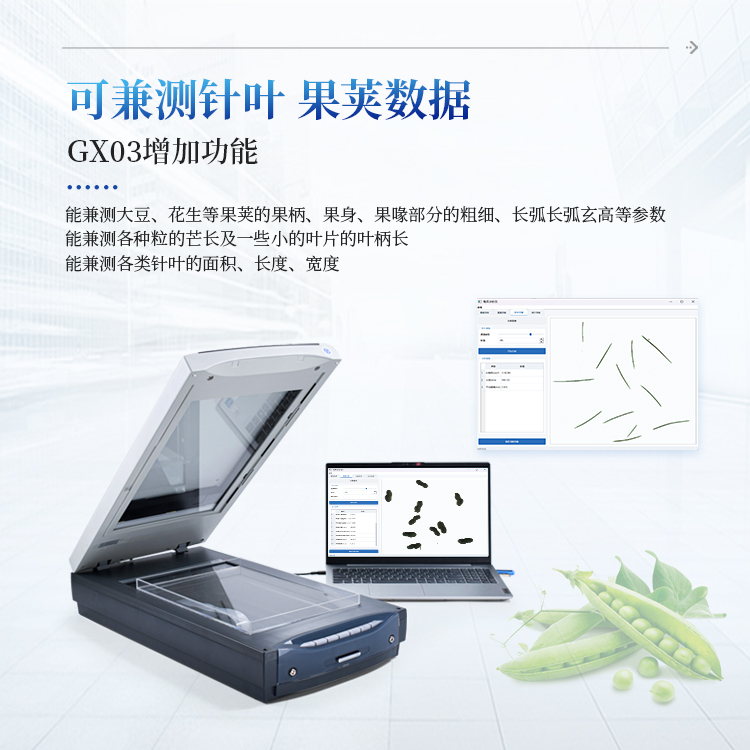 根系分析仪