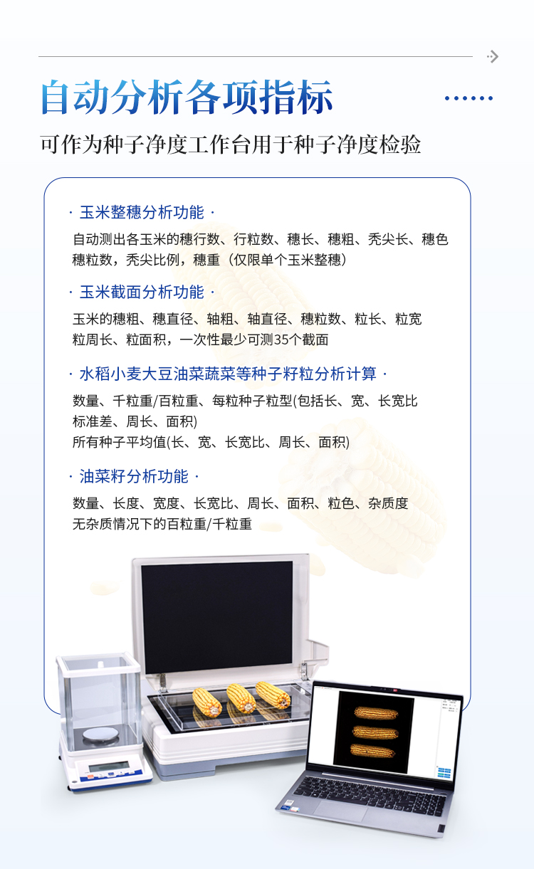 玉米考种分析系统