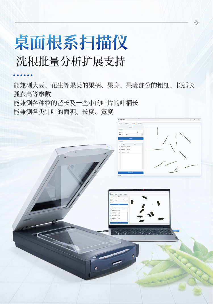 微根管根系监测系统
