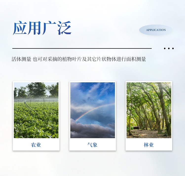 活体叶面积测量仪 活体叶面积测量仪