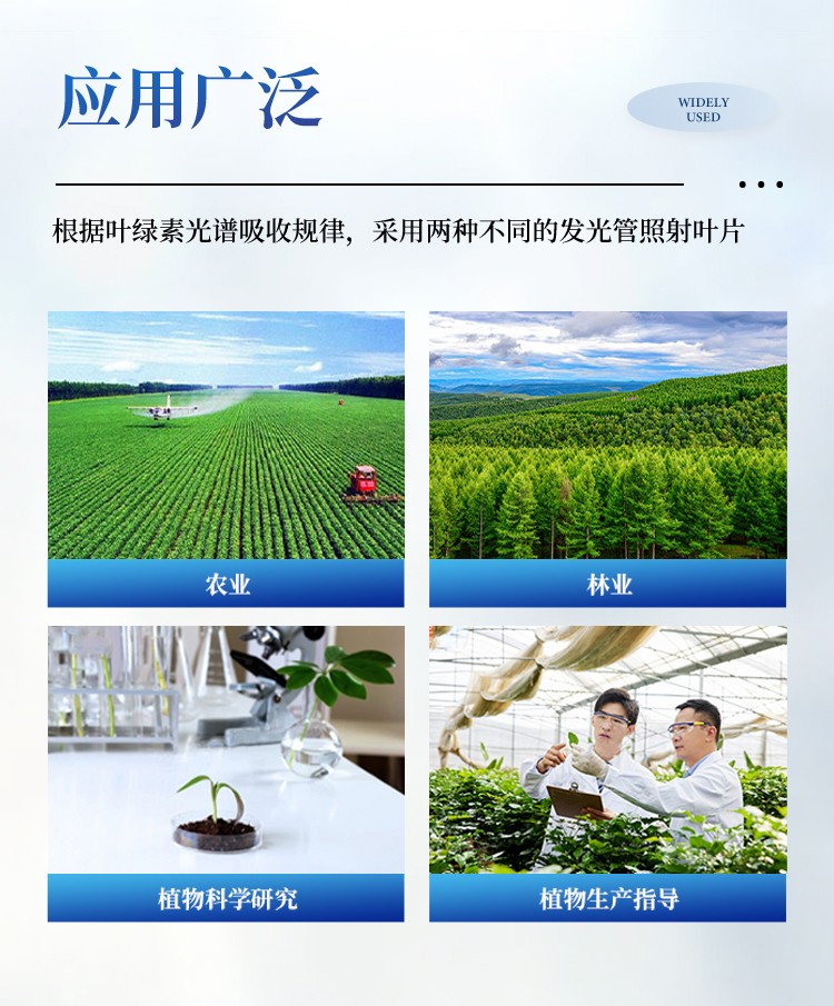 叶绿素测定仪 叶绿素测定仪