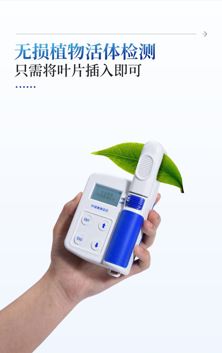 叶绿素测定仪 叶绿素测定仪