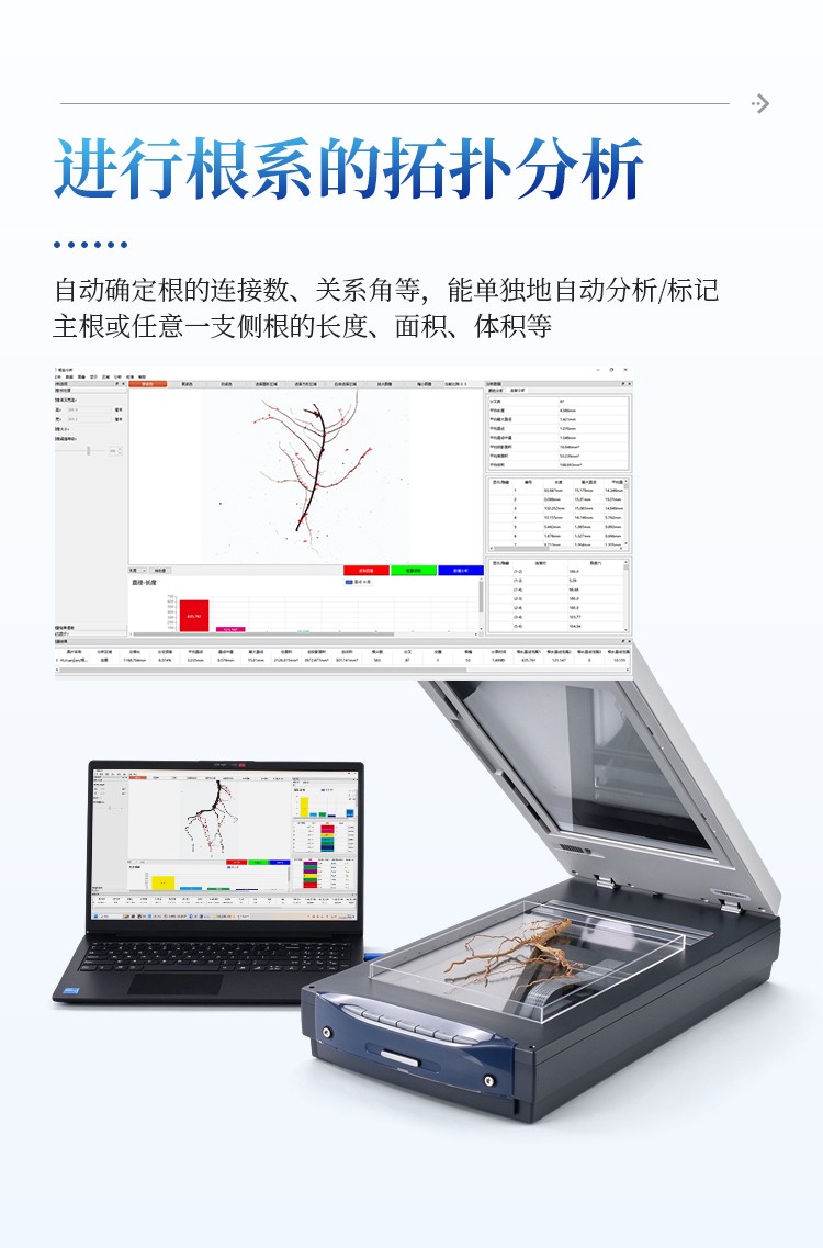 植物根系图像分析仪 植物根系图像分析仪